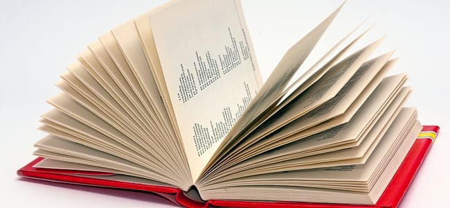 Spanish dictionary pages up into the air